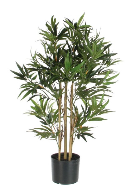 Bamboe 150cm excl. sierpot 93922526